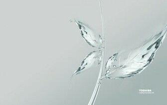 Wallpaperku Toshiba Wallpaper