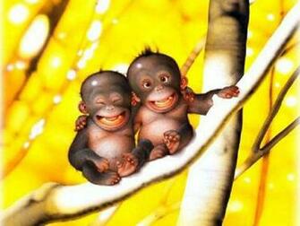 Baby Animal Wallpaper Desktop
