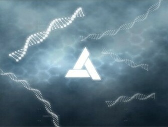 Animus Wallpaper By Erayashi
