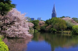 Shinjuku Scenes Background