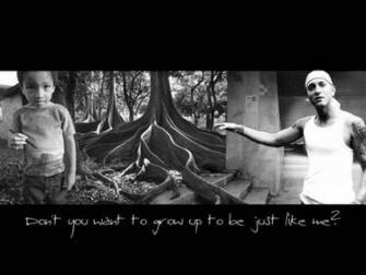 Male Celebrities Eminem Picture Nr