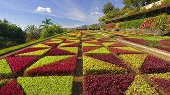 Nbeautifulure Flowers Plants Wallpaper Flower Garden Rel