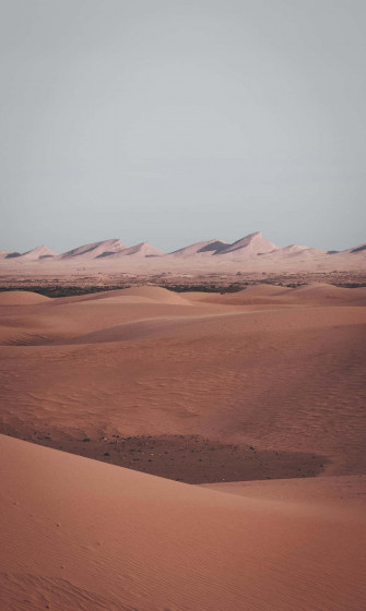 Desert Aesthetic Wallpaper