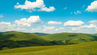 Linda Background