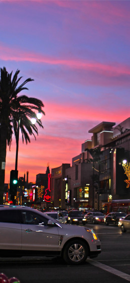 Hollywood Walk Of Fame iPhone Wallpaper
