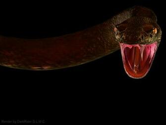 Computer Wallpaper For Pit Viper Scared Of