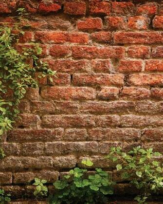 Ivy Bricks