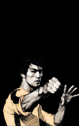 Bruce Lee Punch iPhone Plus HD Wallpaper Art
