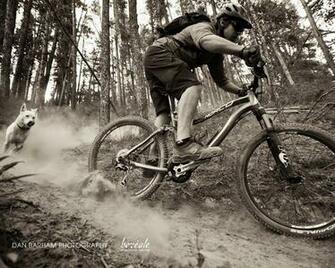 Wallpaper Downhill Mountain Bike Life Cicles Avi