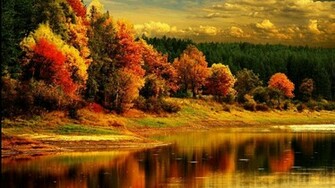 Falling In Love With Fall Odyssey