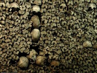 Pics Photos Skull And Bones Wallpaper