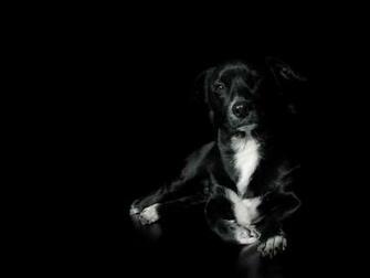 Wallpaper Black Vista