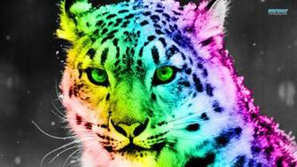 Rainbow Cheetah Print Wallpaper