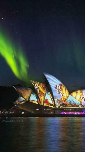 Australia Sydney Opera House Butterflies Monarch Wallpaper iPhone
