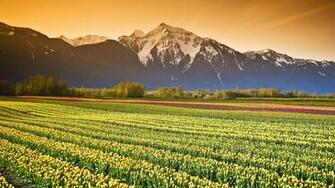 British Columbia Wallpaper
