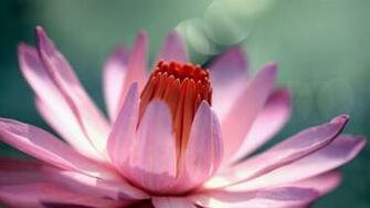 HD Wallpaper Wide Pack