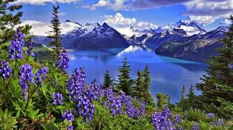 HD Beautiful Natural Wallpaper HD2015