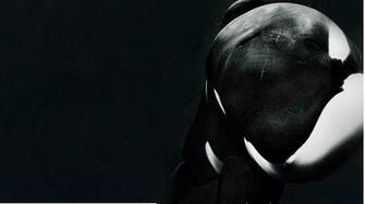 Blackfish Wallpaper