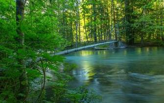 River Forest Trees Bridge Nature Wallpaper Background