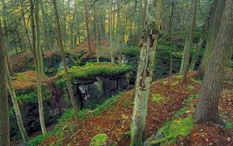 West Virginia High Quality And Resolution Wallpaper