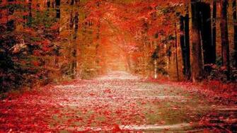 Autumn Nature HD Wallpaper 1080p