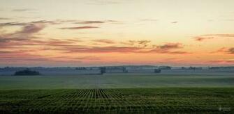 Illinois Landscape Google Search Rural Woodland Wetland