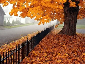 Cute Background And Wallpaper Amazing Colorful
