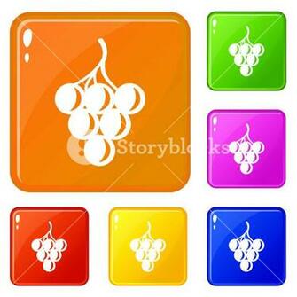 Sour Grape Icons Set Collection Vector Color Isolated On White