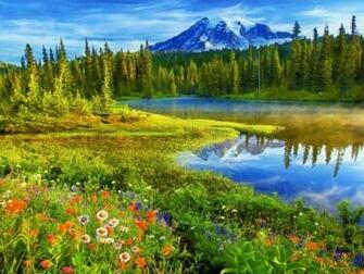 HD Wallpaper Mount Rainier National Park X Kb Jpeg
