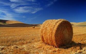 Hay Bale High Resolution Wallpaper HD
