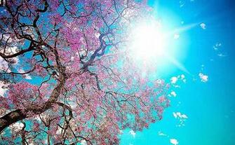 HD Spring Wallpaper Best