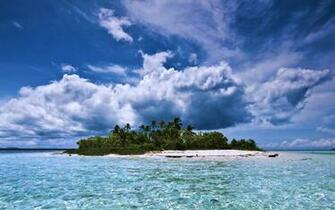 Palms Skies Sea Oceanscape Crystalline Beach Wallpaper
