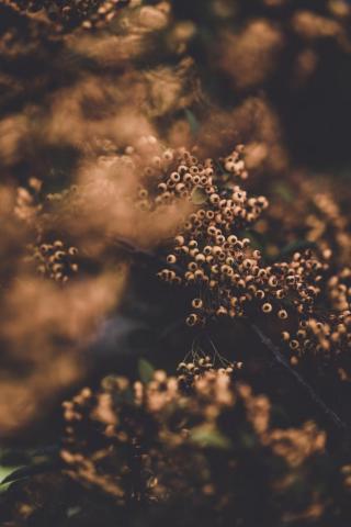 Moody Nature Pictures Image