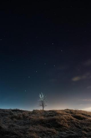 Vertical Wallpaper Pictures Image