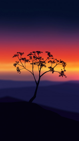 Sunset Scenery Art 4k Wallpaper iPhone HD Phone 120h