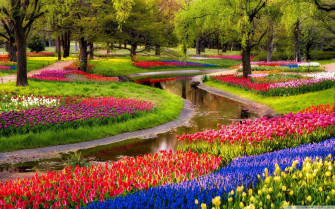 Most Beautiful Spring Wallpaper