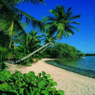 Key West Florida Pictures Beaches