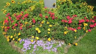 Flowered Golf Course Wallpaper On