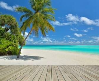 Tropical Background Collection For