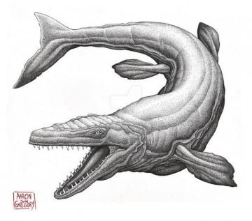 Mosasaurus Dinosaur Drawing Animal Drawings Pictures