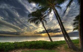 Maui Sunset Wallpaper