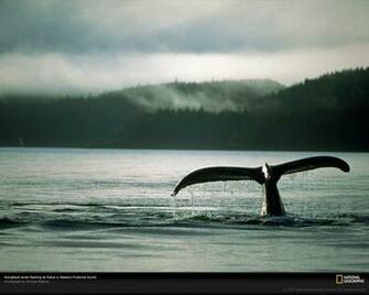 Alaska Photo Of The Day Picture Photography Wallpaper National