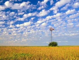 Country Field Illinois Cool Background And