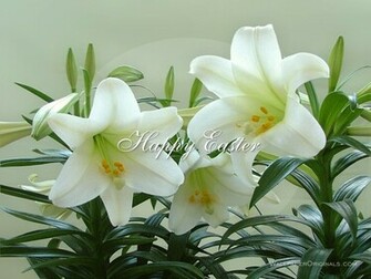 Collection Of Easter Wallpaper Ready To On Your