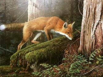 Forest Chase Animals Wallpaper Image With Foxes
