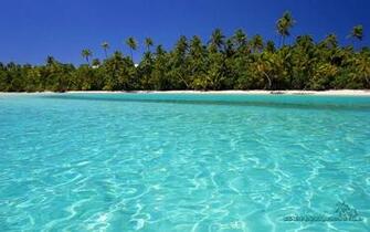 Background Tropical Crystal Clear Wallpaper