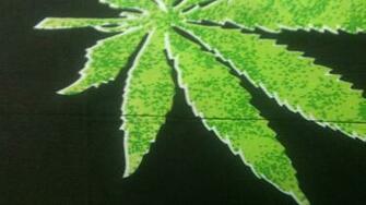 HD Wallpaper Weed Leaf X Kb Jpeg