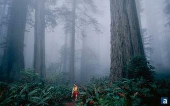 Northern California Is Provided Here In A Full Range Of Desktop Sizes