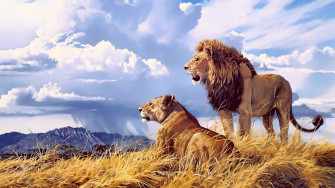 Lion Lioness Artwork 4k Laptop Full HD 1080p Wallpaper