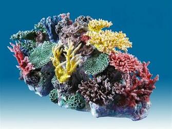 Aquarium